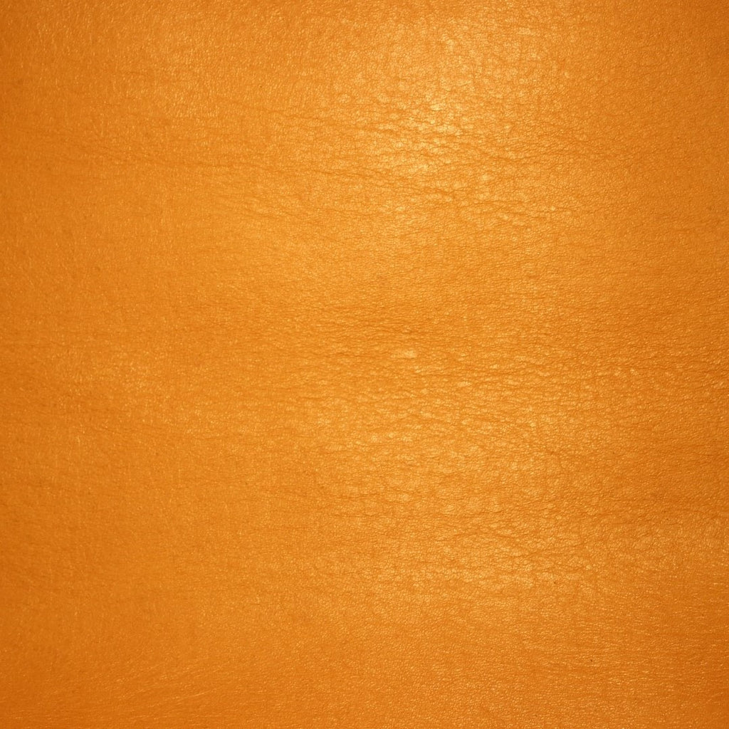 Introducing Horween Leather